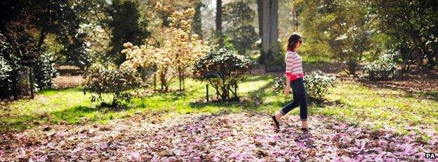 Spring scene at Westonbirt Arboretum