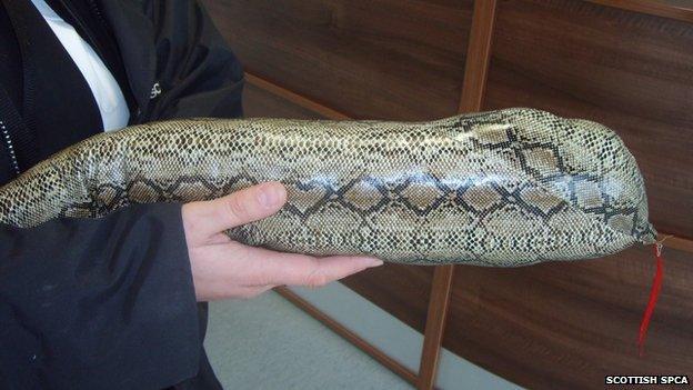 Snake draught excluder mistaken to be a real snake!