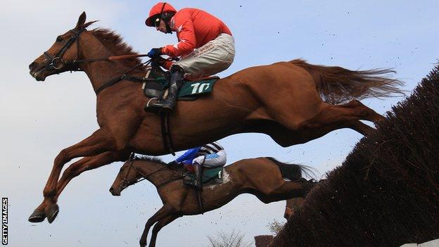 Harry The Viking Diamond Jubilee National Hunt steeplechase in March