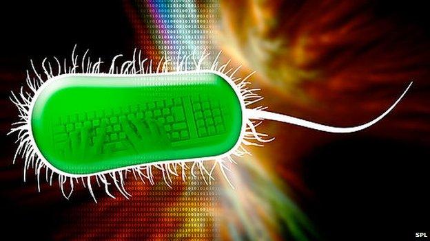 Artist's impression, bacteria and a keyboard