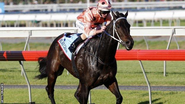 Black Caviar