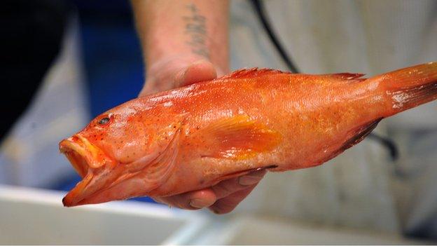 A fish at Billingsgate Market