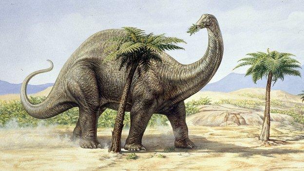 Illustration of Apatosaurus