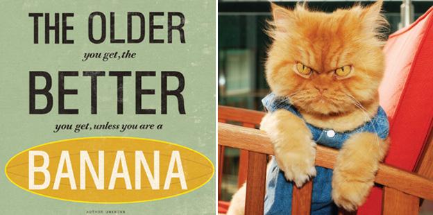 Urban graphic cards. Card on left reads: "The older you get, the better you get, unless you're a banana." Card on right shows picture of a cat