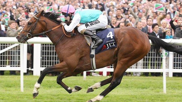 Sir Henry Cecil's colt Frankel