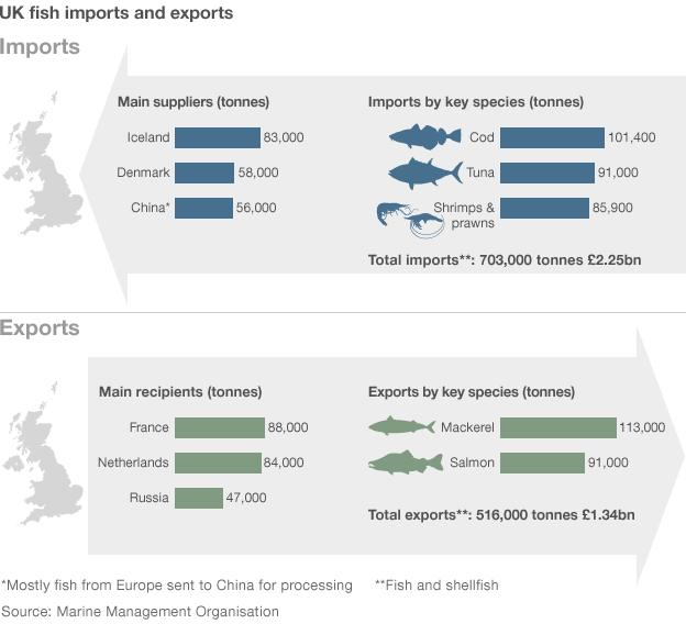 Table showing imports and exports of fish