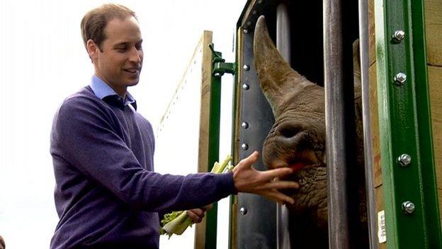 Duke of Cambridge feeding a rhino