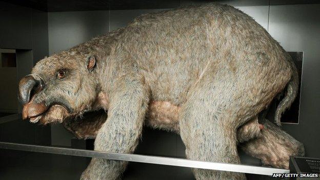 Diprotodon model at the Australian Museum, Sydney