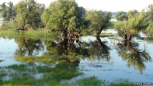 Kopacki Rit nature park