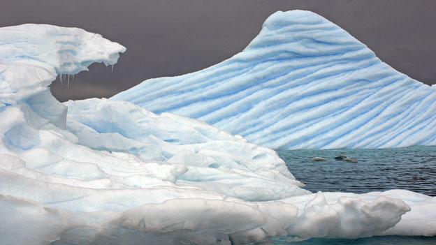 An iceberg in Antarctica