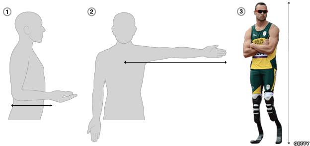 Graphic showing how measurements taken