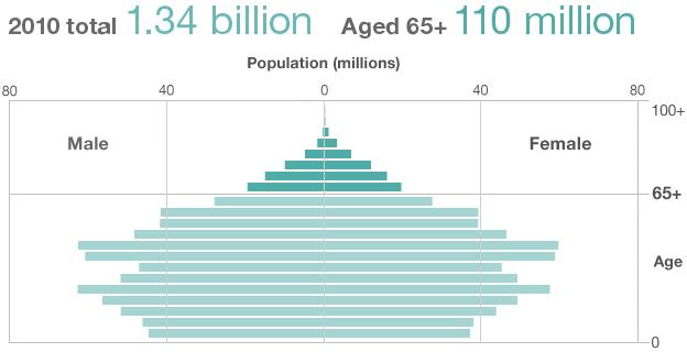 China population structure in 2010