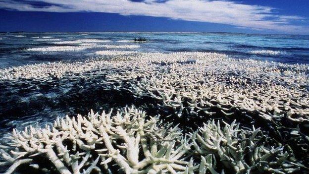 Great Barrier Reef