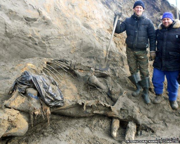 Researchers pose with the mammoth remains