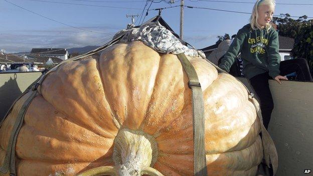 Girl with giant pumpkin