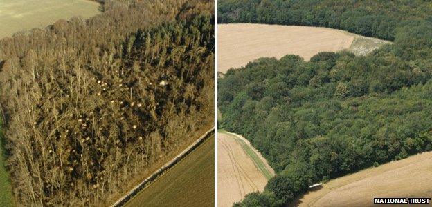 Images of the National Trust's Drover Estate in 1987 (left) and 2007 (right) (Image: National Trust)