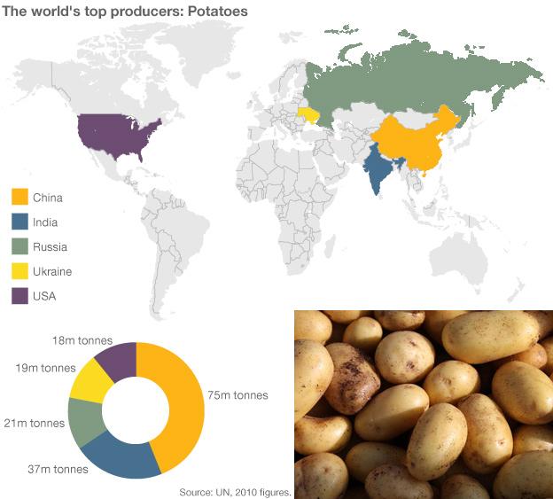 Infographic showing potatoes production