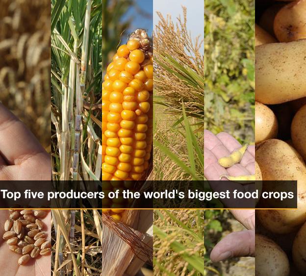 Infographic cover page showing composite image of crops