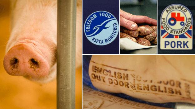 Pictures of pork labelling and one of a pig