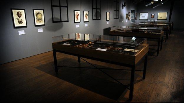 Bones and artefacts on display at the Museum of London