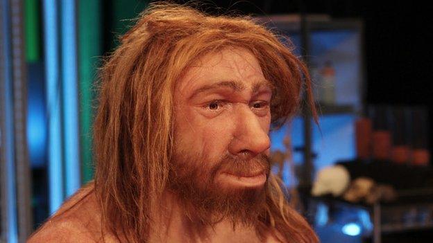 Reconstructed face of a Neanderthal hominid