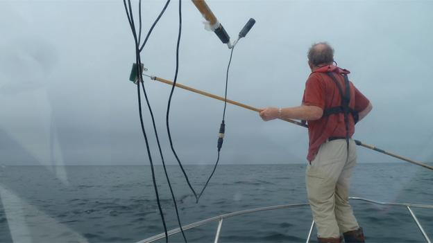 Scientist collecting shark DNA