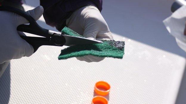 Scientist cutting a pan scourer
