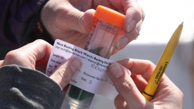 Manx basking shark project labels shark slime sample