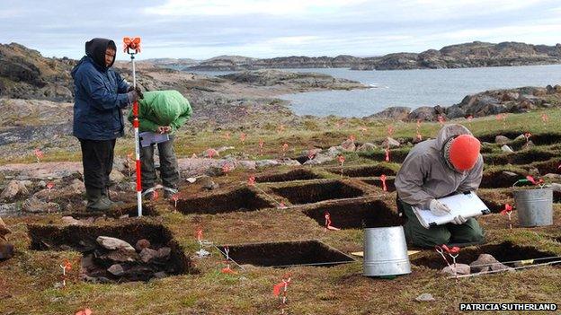 Cape Tanfield excavation