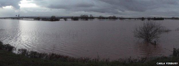 Flooded Willows & Wetlands Visitor Centre in Stoke St Gregory