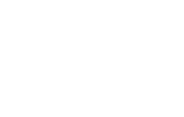 Bassong