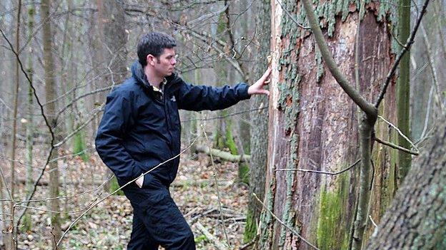 Adam Hart and an ash tree