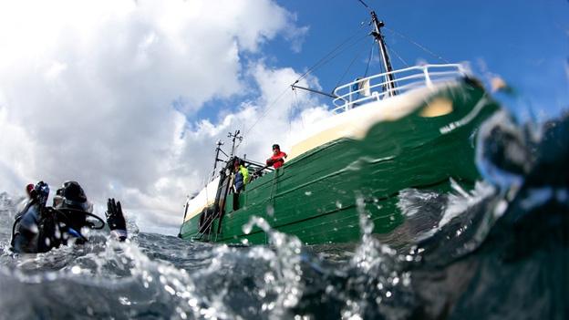 Survey boat