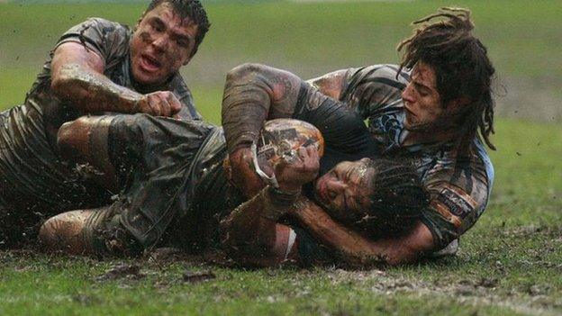 Arms Park pitch