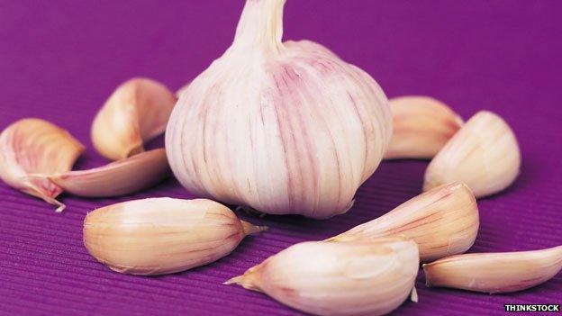 Garlic