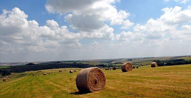 Farm in UK