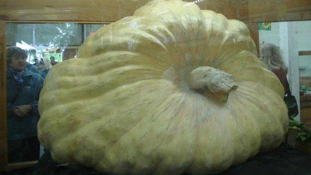 Ron Wallace's giant pumpkin