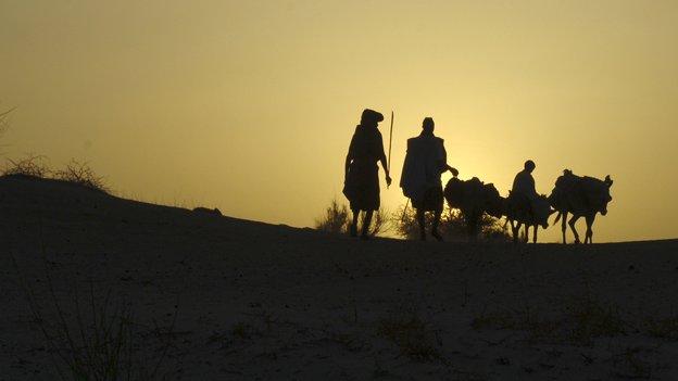 Tuareg family silhouetted with camels