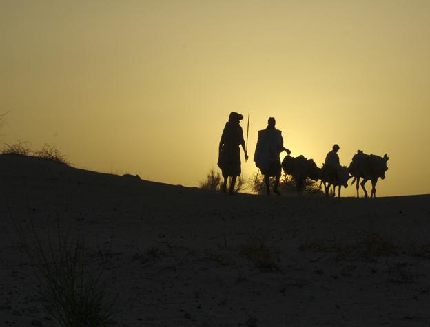 Tuareg family silhouetted with camels