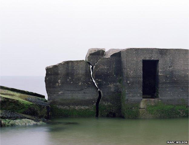 The Last Stand by Marc Wilson