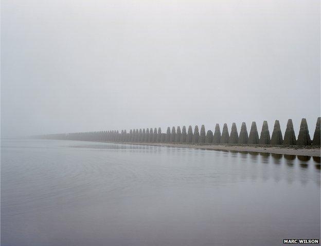 The Last Stand by Marc Wilson