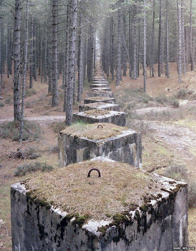 The Last Stand by Marc Wilson