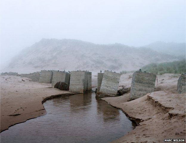 The Last Stand by Marc Wilson