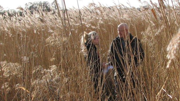 Chris Watson in reed beds