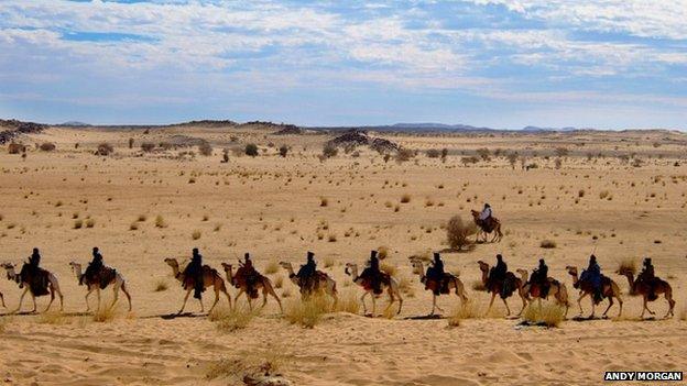 Camel train in the desert