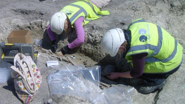 Excavation of a burial