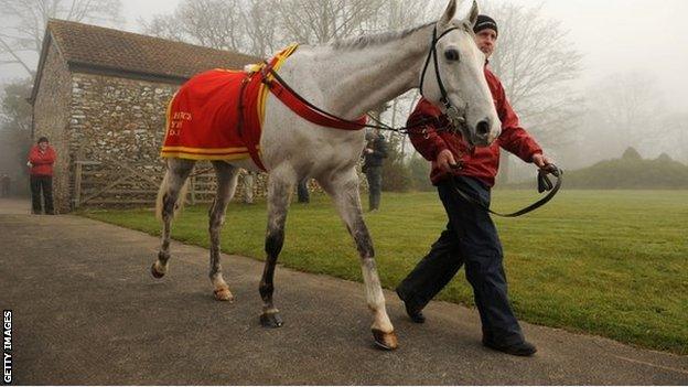 Grands Crus at David Pipe stable