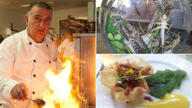 Chef Moshe Basson (l), a bowl of live locusts (top right) and a dish made of locusts (bottom right)