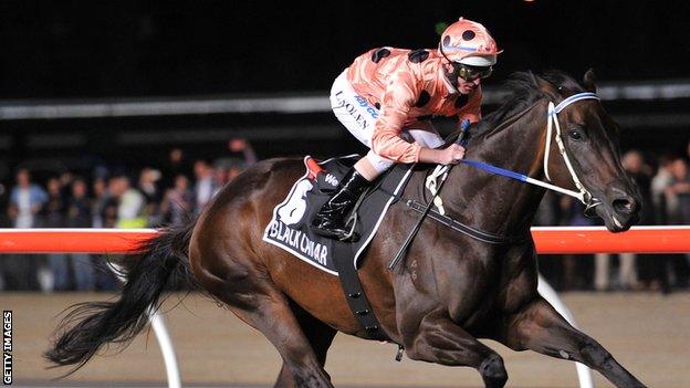 Luke Nolen rides Black Caviar to victory