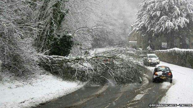 A fallen tree in the snow makes driving extra hazardous in Holywell, Flintshire